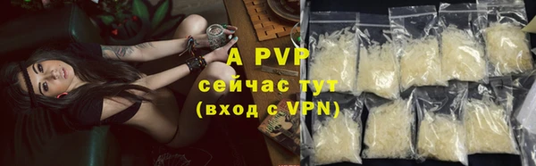 трава Магас