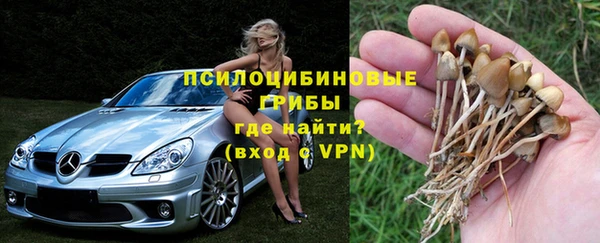 не бодяженный Магадан