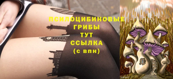 трава Магас