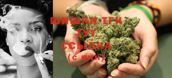 трава Магас