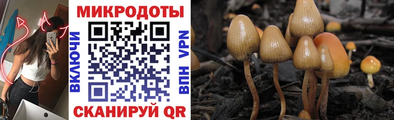 Галлюциногенные грибы GOLDEN TEACHER  Лысково 